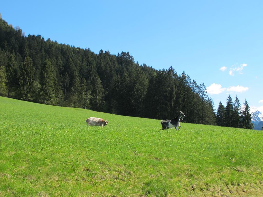 Fertinghof Wildschoenau Exterior foto