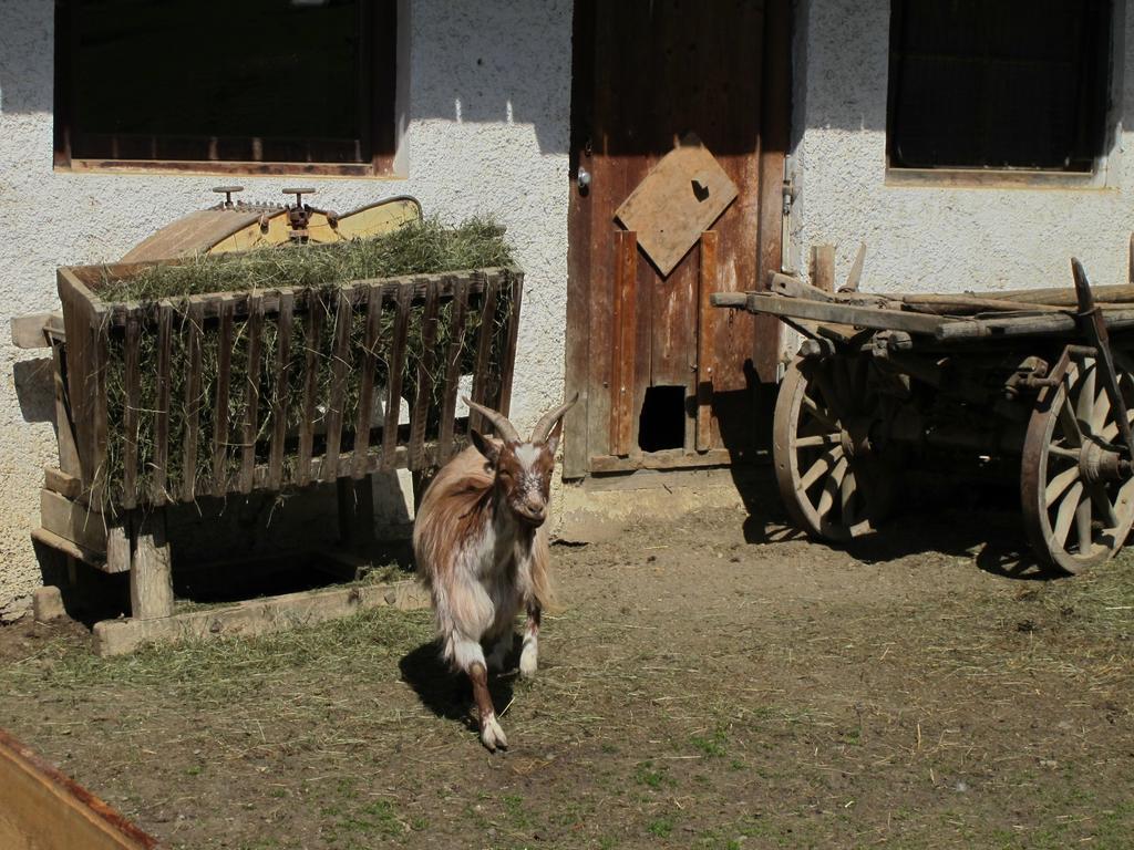 Fertinghof Wildschoenau Exterior foto